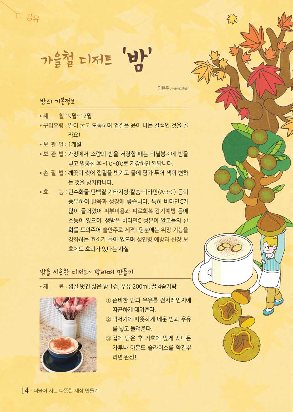 13 page