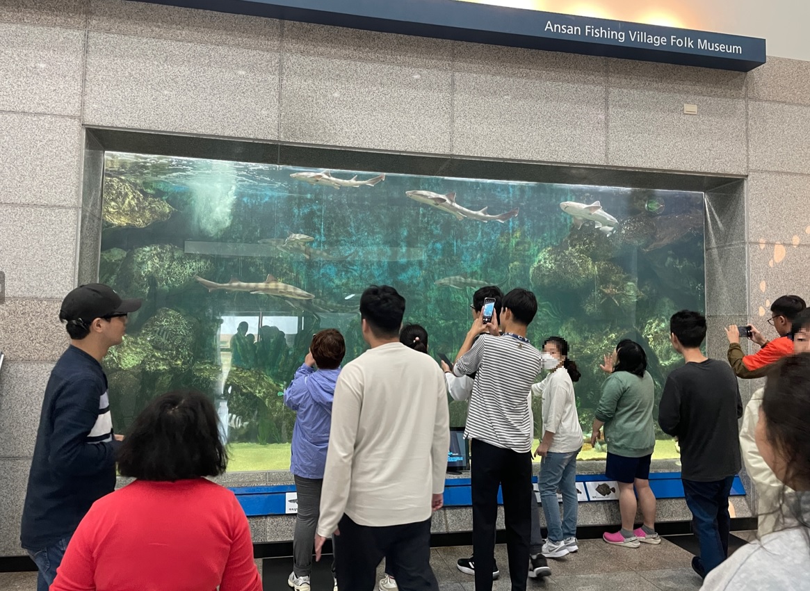 숲체험2.jpg