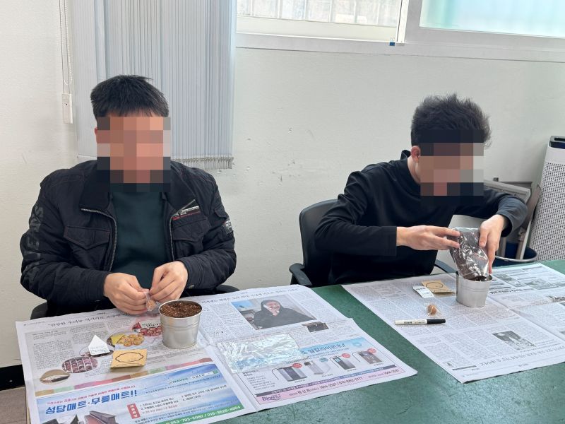 방울토마토활동사진.JPG