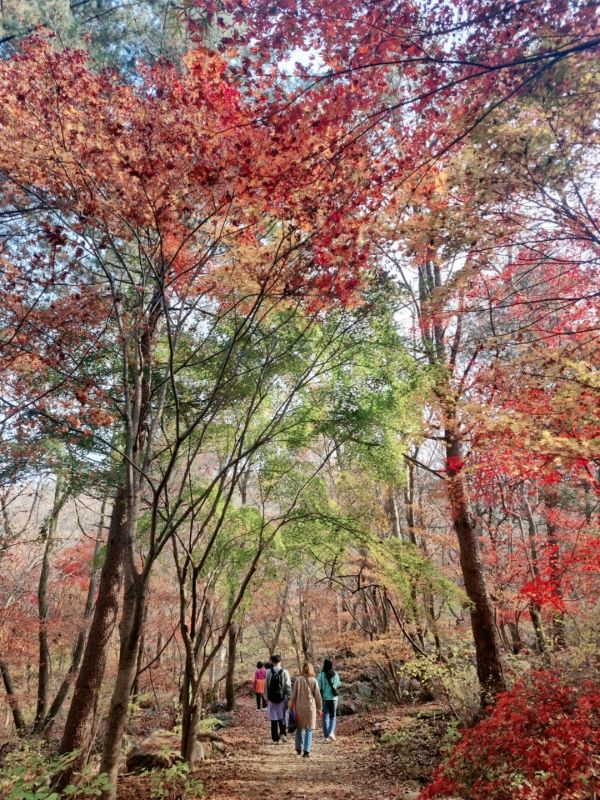 [그루터기] 가족나들이