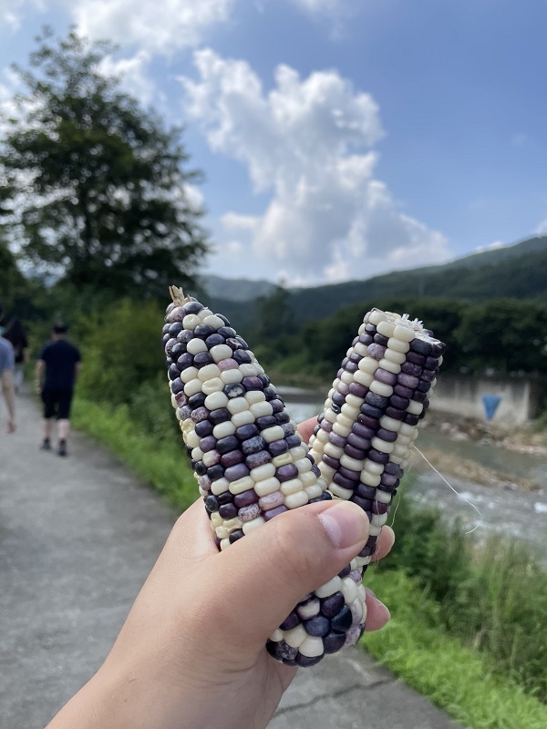 남동소식2.jpg