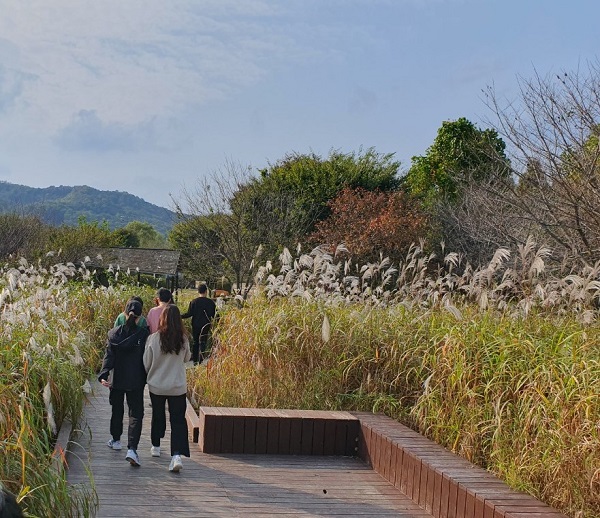 18통합2.jpg
