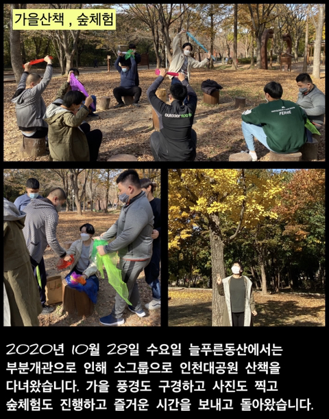 [늘푸른동산] 부분개관 가을산책, 숲체험