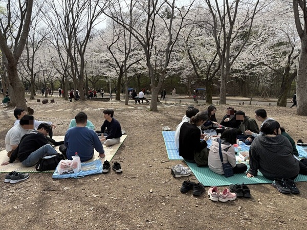 [늘푸른동산] "모두의 봄, 즐겨 봄" 인천시설공단 연계 피크닉