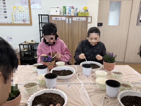 [늘푸른동산] 2월 원예활동 '캄파눌라 화분 만들기'