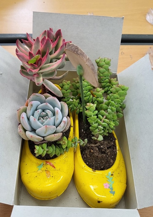 [늘푸른동산]원예활동