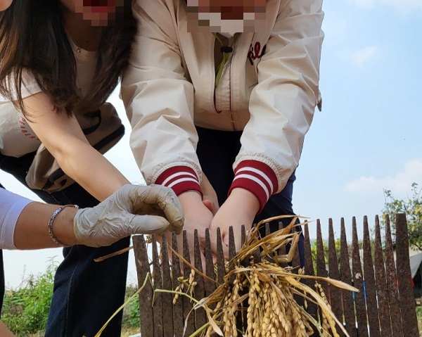 08텃밭2.jpg