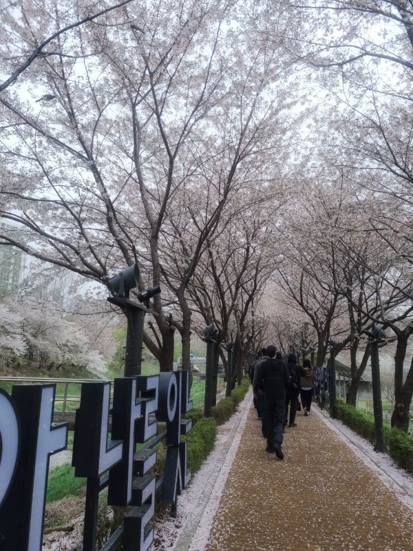 그루터기-전체 사진-76978883936.jpg