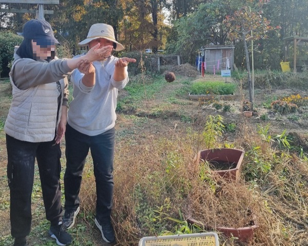13-2텃밭2.jpg