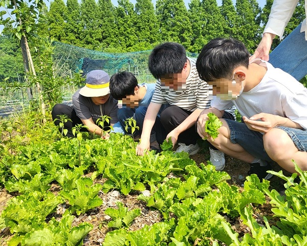14텃밭2.jpg