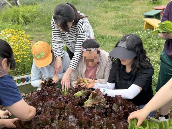 [늘푸른동산] 인천도시농업 네트워크 연계 농장체험
