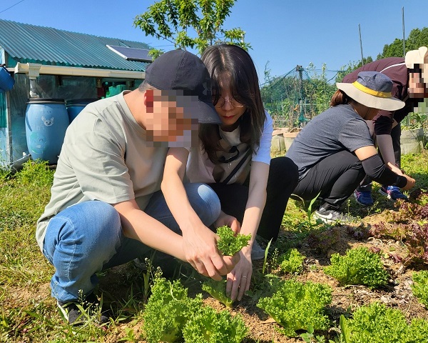 4텃밭 2.jpg
