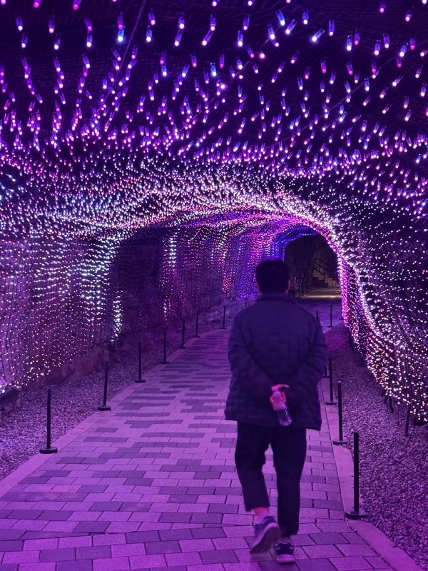 그루터기-전체 사진-73583736132.jpg